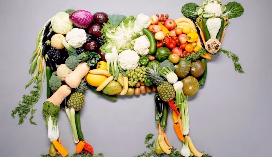 una mucca vegetale