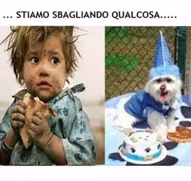 bambino affamato, cane pasciuto